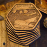 Dinosaur Fossil Coasters